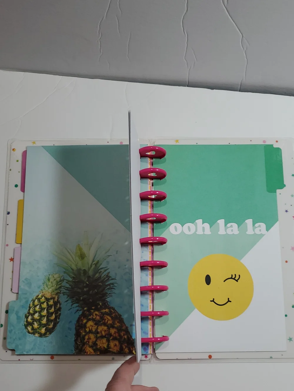 Lot Happy Planner 27 Rings 3 Covers